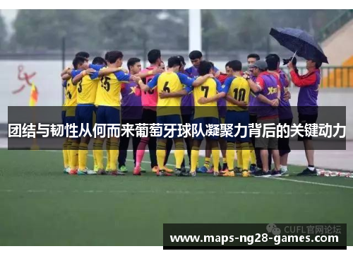 团结与韧性从何而来葡萄牙球队凝聚力背后的关键动力